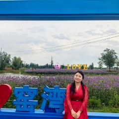 YAO WAN CHUAN CAI 여행 사진
