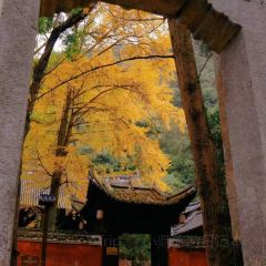 好家苑 User Photo