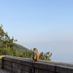 YONG CHENG HAI XIAN SHAO KAO DA PAI DANG User Photo