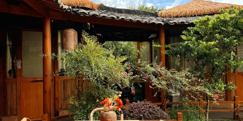 野爐子（寶石公園店）