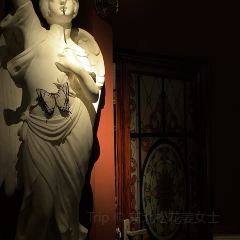 Domo Bar 여행 사진