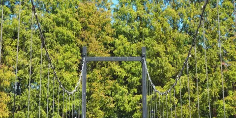 洗耳池公園