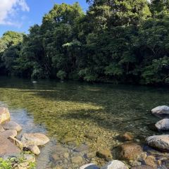 景熙豐莊園張用戶圖片
