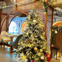 ROMA SHANGHAI User Photo