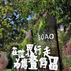 昌隆·家家鹅乡·海南菜 User Photo