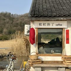 枇杷熟了coffee張用戶圖片