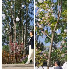 老砂锅 User Photo