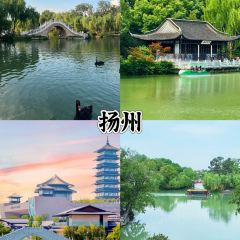 TAIHURENJIA·SUZHECAI User Photo