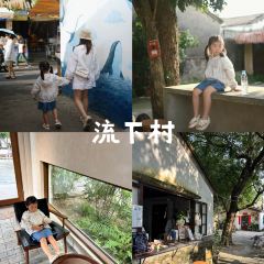 ER SHI SI ZHUANG SUGAR WATER User Photo