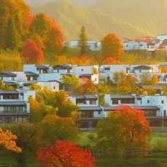 LOBSTER MONSTRE 여행 사진