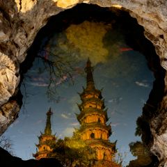 天香蟹园·正宗自产自销(阳澄湖莲花岛店) User Photo