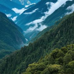 HE SHUN JIA YAN User Photo