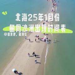 Nyonya Kebaya-A taste of Malaysia User Photo