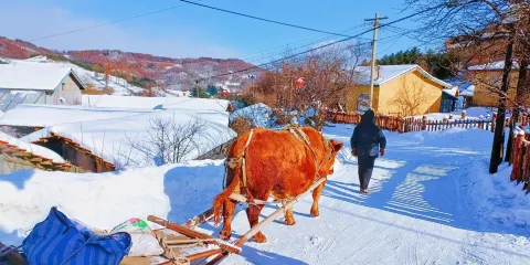 吉林白山市松嶺雪村郭家大院
