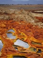 ダロル火山イエローゾーン