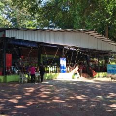 金銀島餐廳張用戶圖片