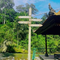 Omma Dayclub Bali User Photo