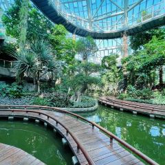 星巴克(華茂店)張用戶圖片