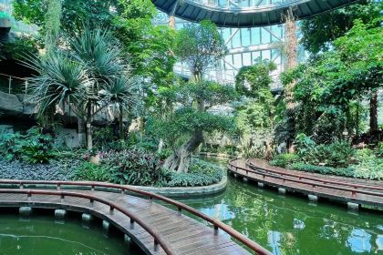 星巴克(華茂店)