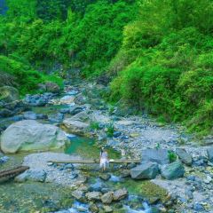川步烧烤园 User Photo