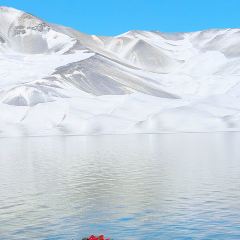 塔漂咖啡馆 User Photo