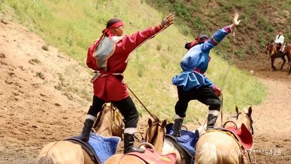 Ordos Equestrian Show