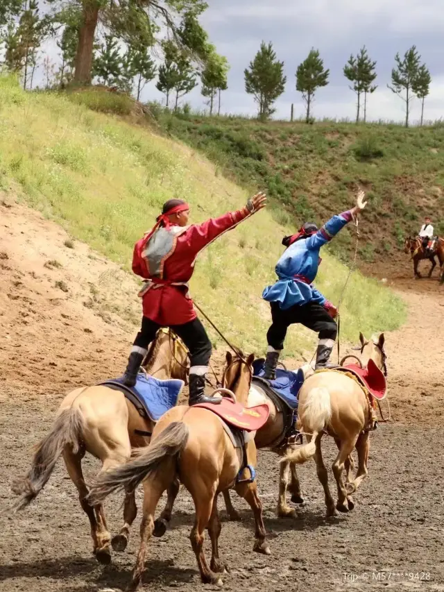 Ordos Equestrian Show