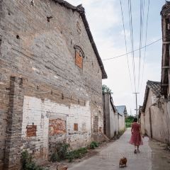 陈鸭子饭庄(固驿镇店) User Photo