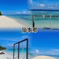 JETTY seafood BBQ restaurant張用戶圖片
