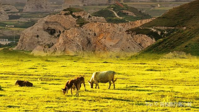 Jiangfushan Red Leaf Valley Campground