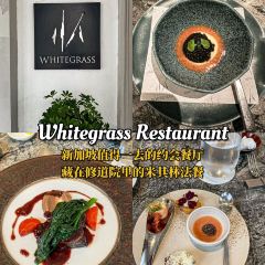 Whitegrass張用戶圖片