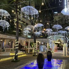 Sailing Club Nha Trang User Photo