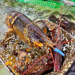 新歡海鮮坊（品簽店）張用戶圖片