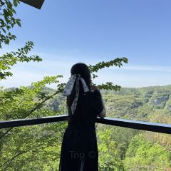 绍兴新昌安岚·听涛阁 User Photo