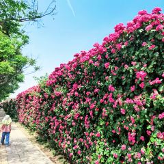 云间花境餐厅 User Photo