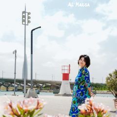 Al Marsa張用戶圖片