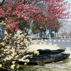 洪泽湖小鱼锅贴城(淮建路店) User Photo
