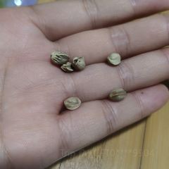 胖子鱼·鲜鱼火锅(全国总店) User Photo