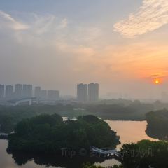 金地肥牛府(秀水街店) User Photo