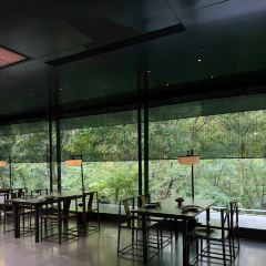 紫金山院張用戶圖片