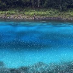 Bianbianjiecangyage Restaurant User Photo