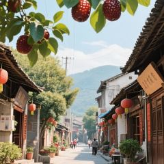 Lvji Old Flavor User Photo