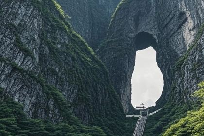 龙潭天然食品有限公司