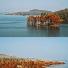 LOBSTER MONSTRE 여행 사진