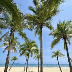 BZK·SEAFOOD User Photo