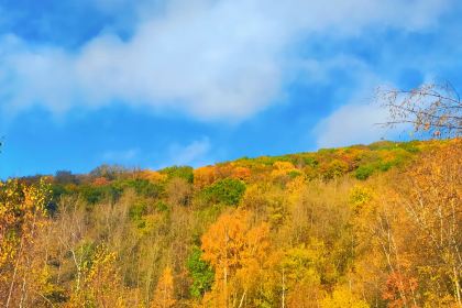 Datou Barbecue (jichanglu)