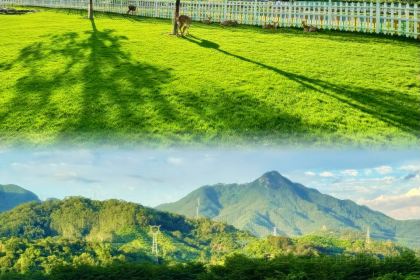 Xiaowen Sanjiao Bing