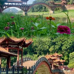 仓桥直街臭豆腐 User Photo