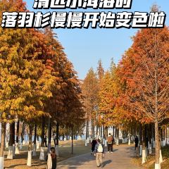 白玉鼎冬瓜盅·清遠雞張用戶圖片