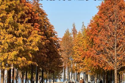 白玉鼎冬瓜盅·清遠雞